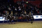 Quadrille - 00656